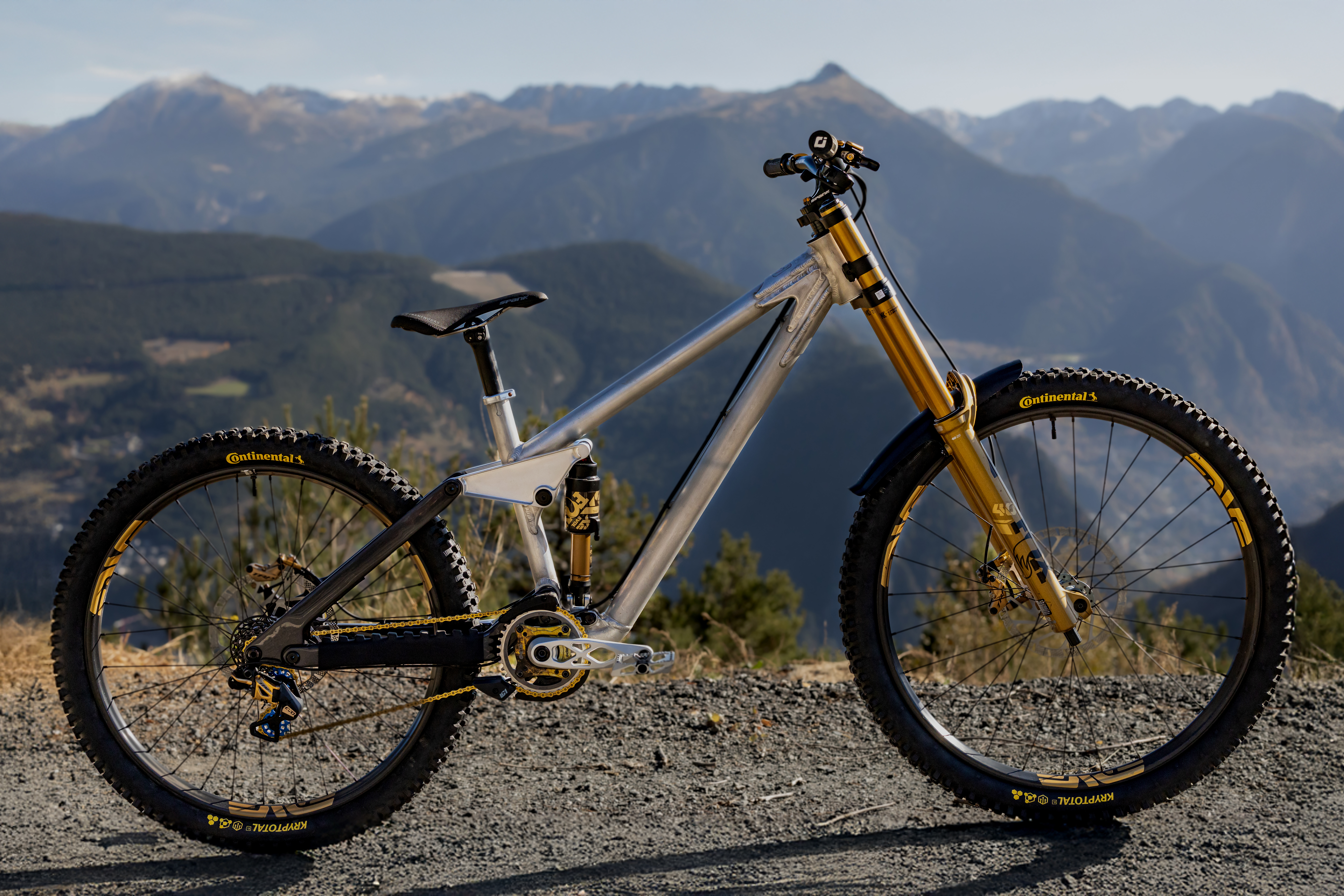 Frameworks downhill bike
